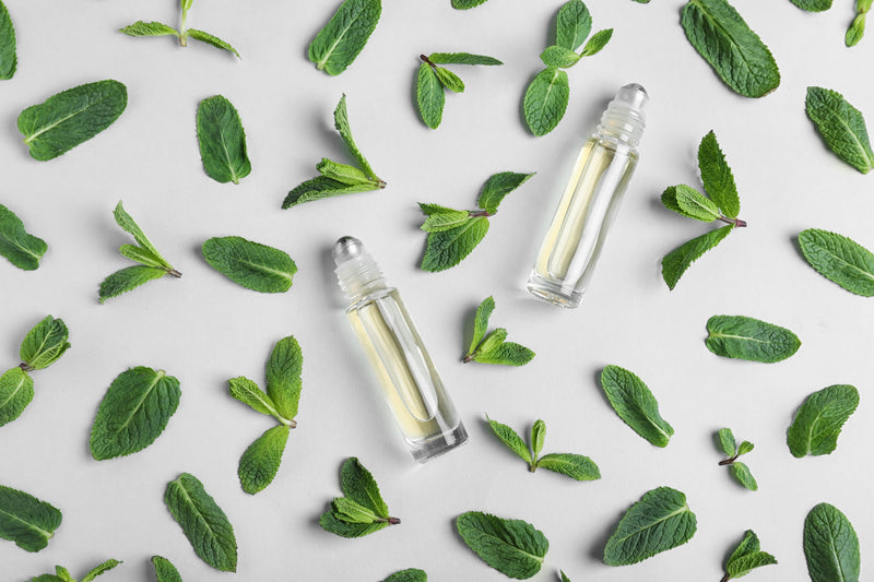 Pacific Isles ♂️ Perfume Oil